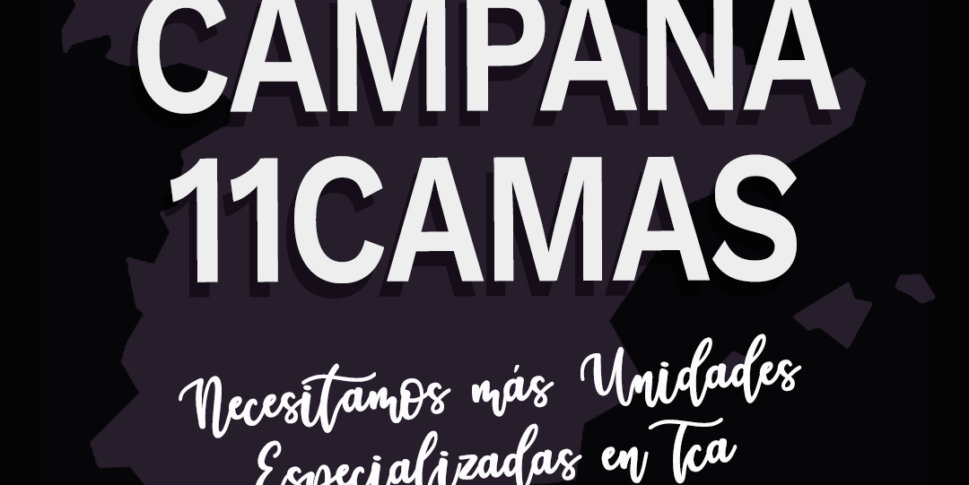 11camas.com es una campaña que consideramos tanto útil como necesaria ya que trata de visibilizar en un mapa, con ayuda de otras personas afectadas...